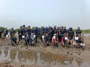 Lazismu Batang dan BEM FKIP UMKABA menanam 200 bibit mangrove di Pantai Sicepit sebagai ikhtiar bersama menjaga ekosistem pesisir Batang.