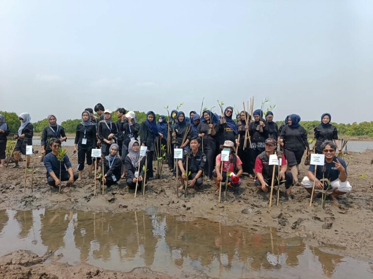 Lazismu Batang dan BEM FKIP UMKABA menanam 200 bibit mangrove di Pantai Sicepit sebagai ikhtiar bersama menjaga ekosistem pesisir Batang.